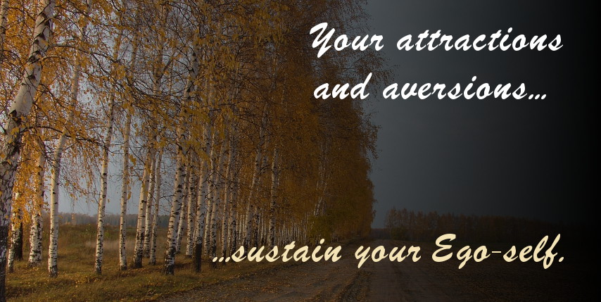 Zen Nature Quotes. QuotesGram