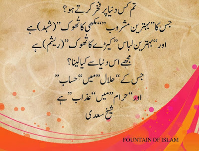 quotes about importance of education in urdu