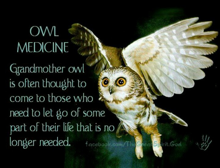 Owl Quotes About Life. QuotesGram