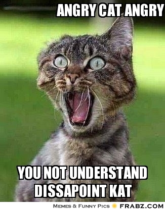 Funny Angry Cat Titanic Quotes. QuotesGram Funny Angry Cat Titanic Quotes. QuotesGram