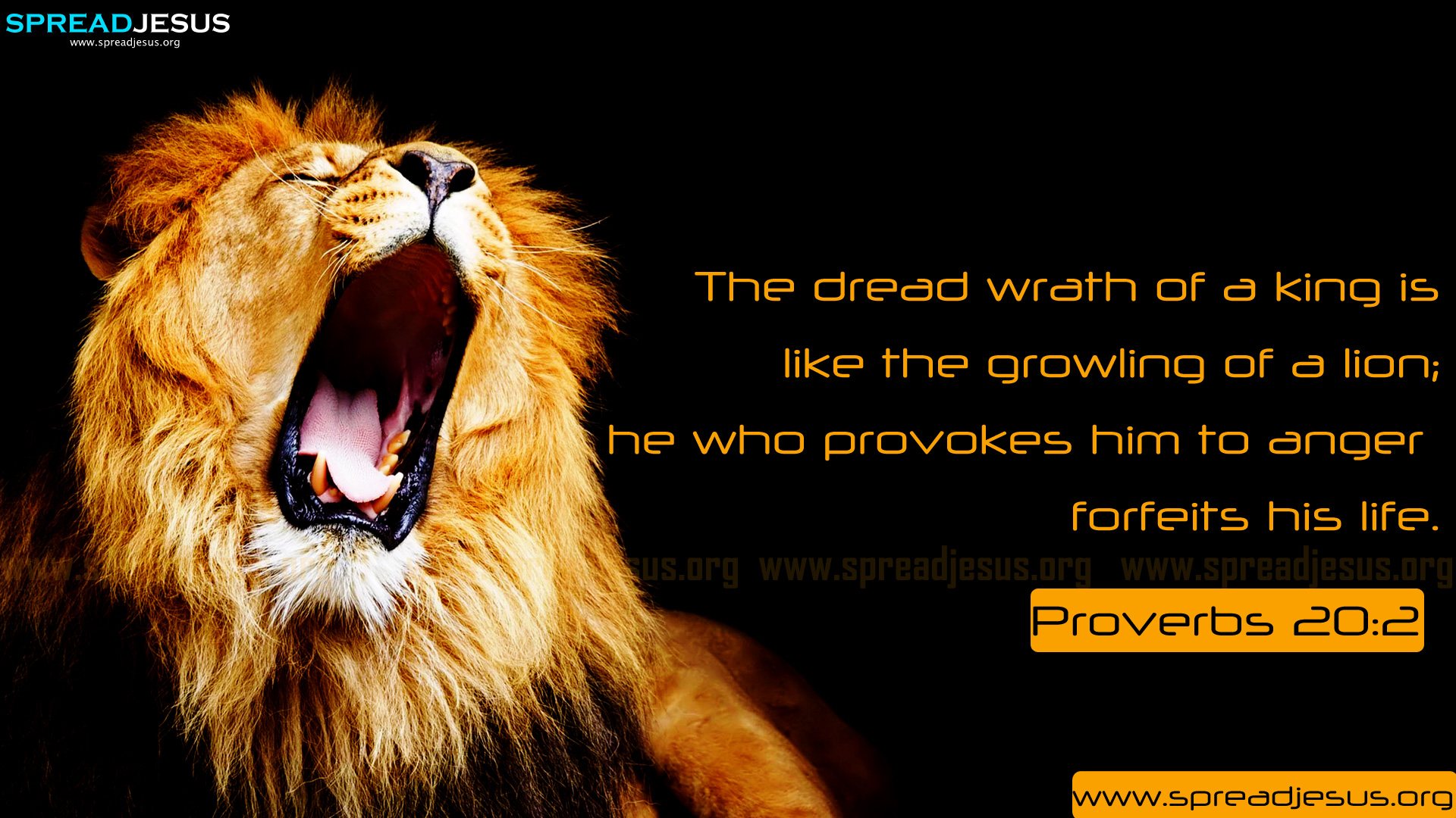 Bible Quotes About Lions. QuotesGram