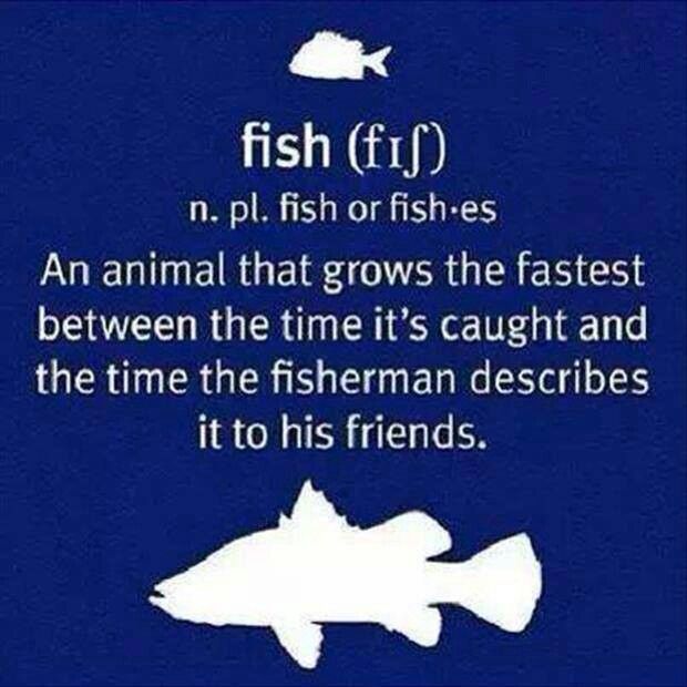 Funny Fishing Quotes For Men. QuotesGram