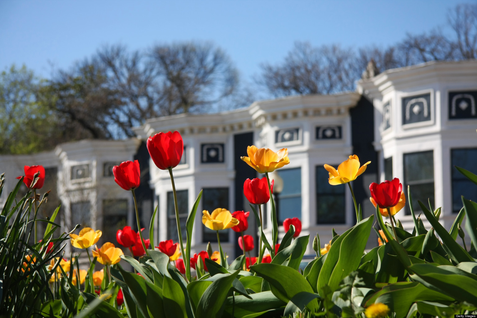 Real Estate Quotes For Facebook