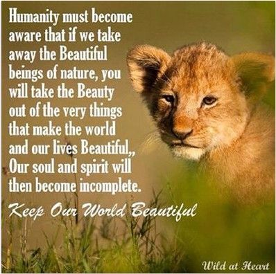 Quotes About Compassion For Animals. QuotesGram