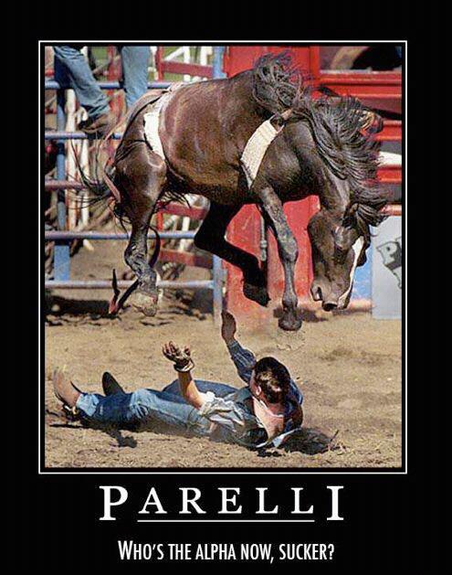 horse-trainer-quotes-funny-quotesgram
