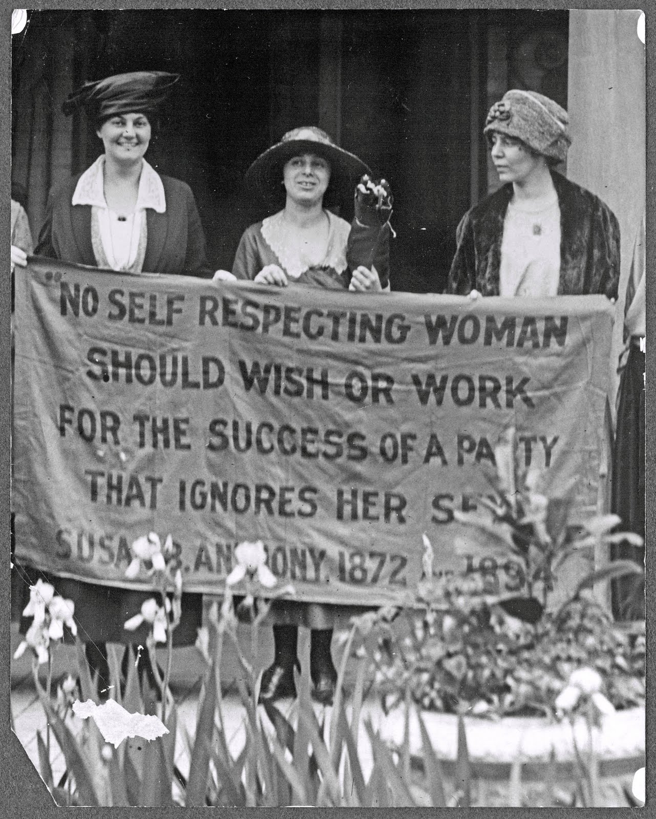 Alice Stokes Paul Quotes. QuotesGram