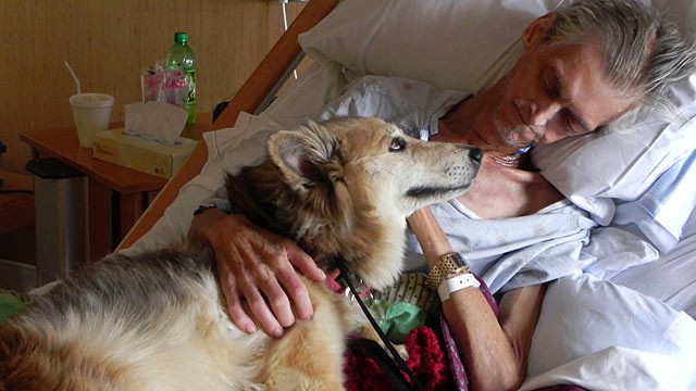 Homeless Man With Dog Quotes Quotes. QuotesGram