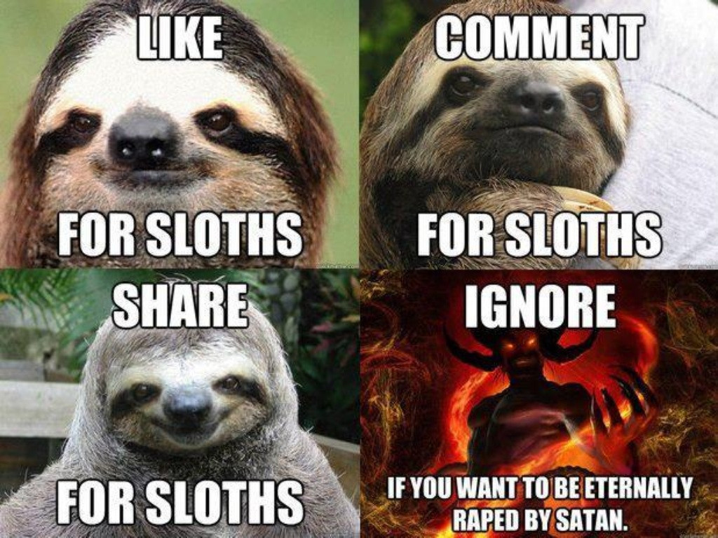 9 Mm aha ideas sloth, sloth meme, bones funny. 