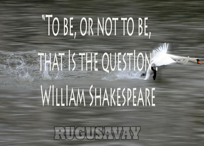 Shakespeare Quotes On Health