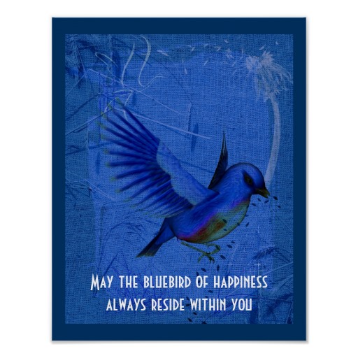 Blue Bird Quotes Quotesgram