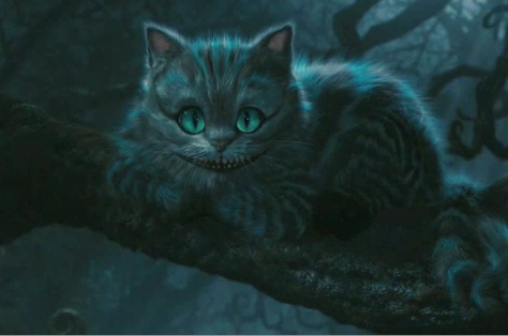 definition of chessy cat definition of chessy cat