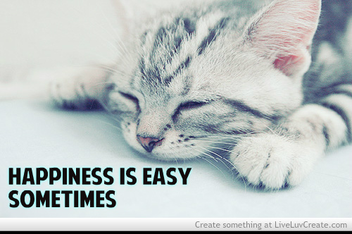 Cute Cat Quotes. QuotesGram