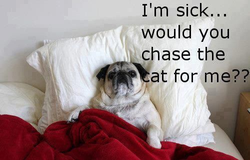 funny being sick quotes