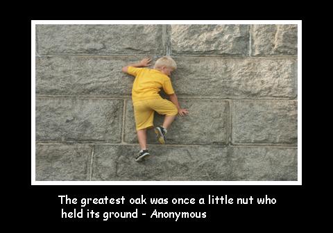 Perseverance Quotes Humor. QuotesGram Perseverance Quotes Humor. QuotesGram