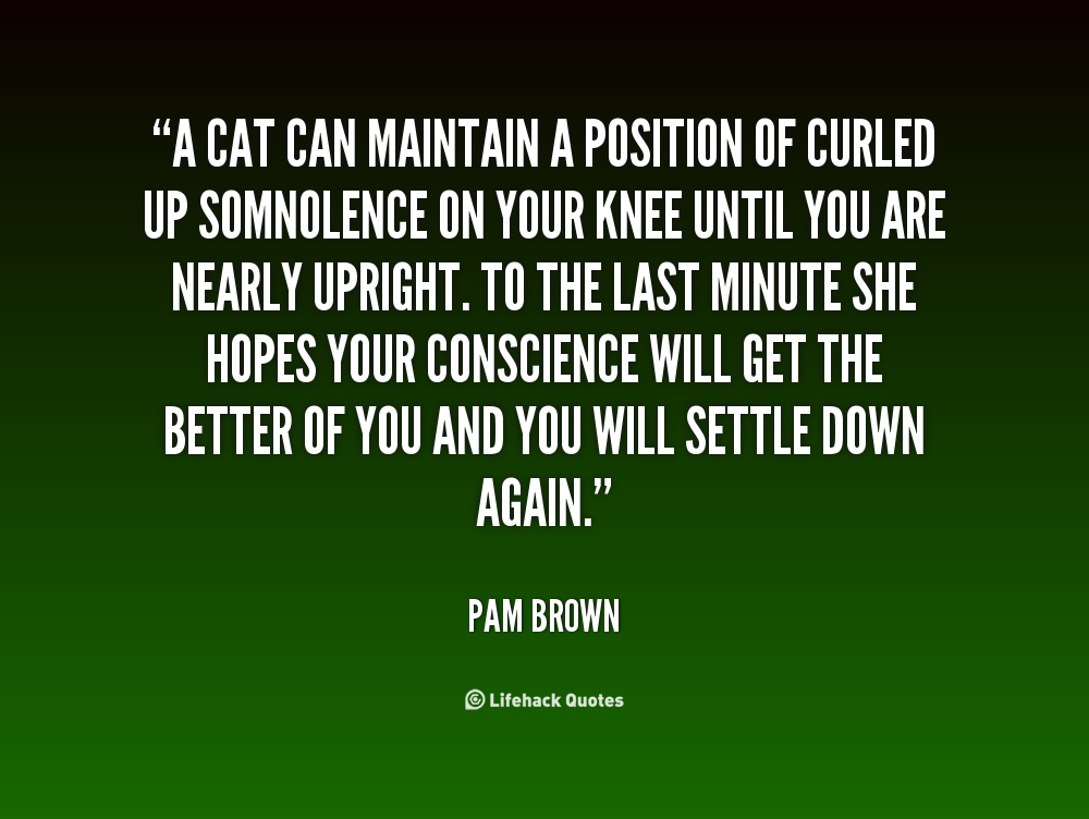 Pam Brown Cat Quote A Cat Can Maintain Pam Brown Cat Quote A Cat Can Maintain