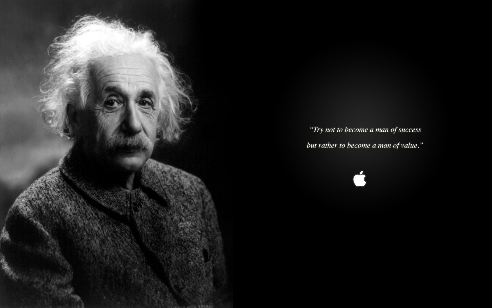 Basic facts about einstein picture