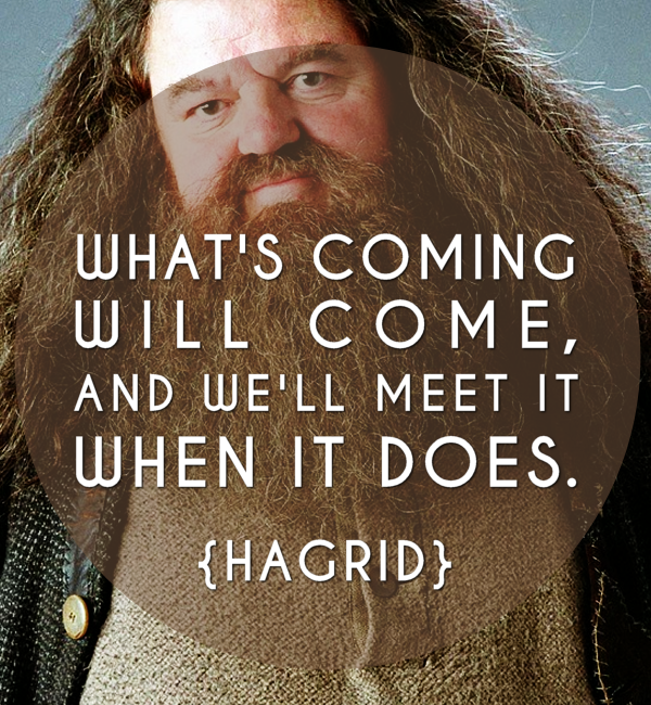 Hagrid Harry Potter Quotes. QuotesGram