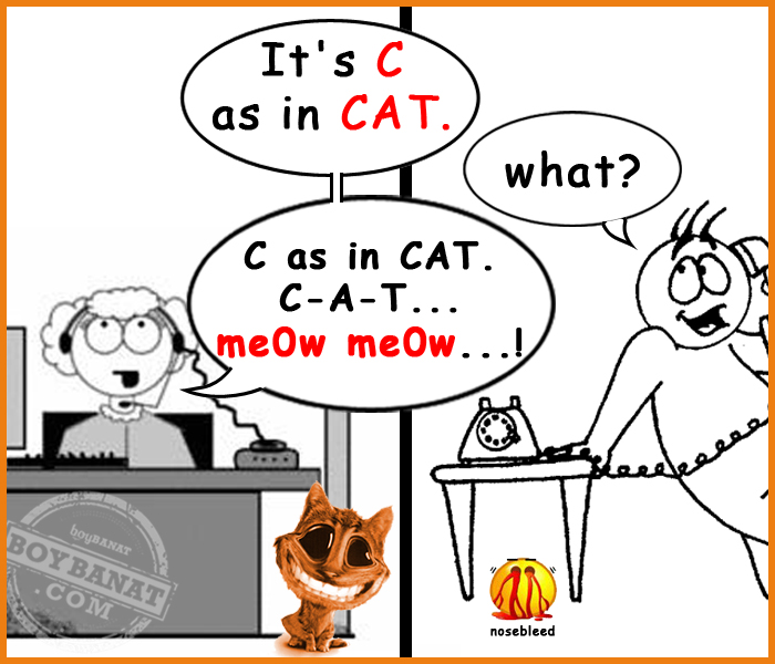 Call Center Funny Quote 10