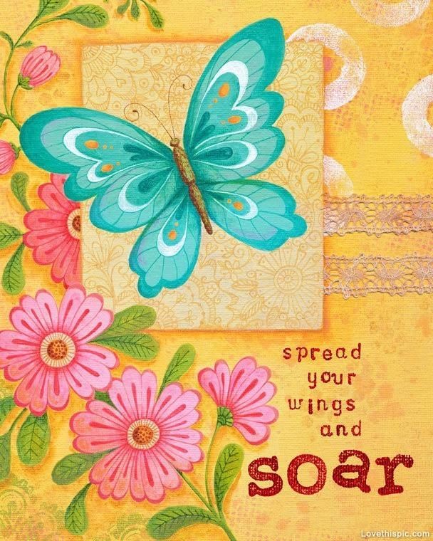 Spread Your Wings And Fly Quotes Quotesgram