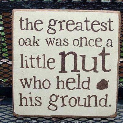 Cute Quotes About Nuts. QuotesGram