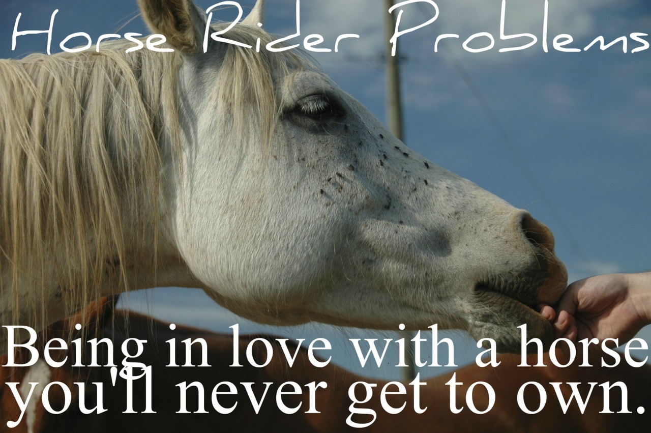 Horse Saying Goodbye Quotes. QuotesGram