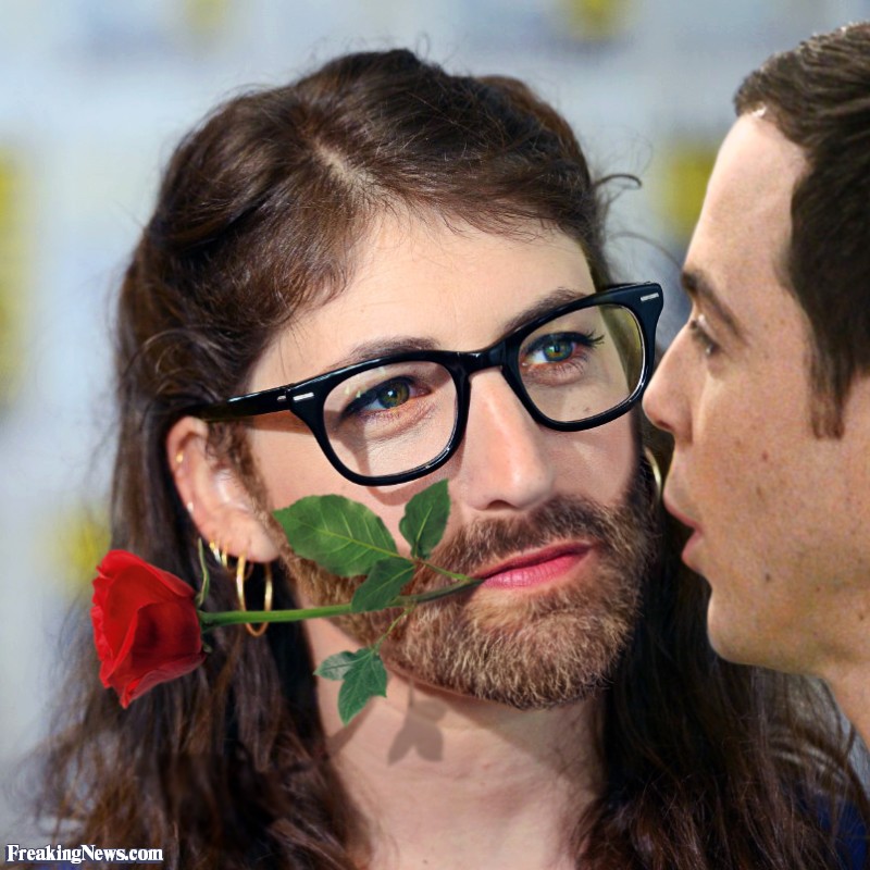 Amy Farrah Fowler Quotes. QuotesGram