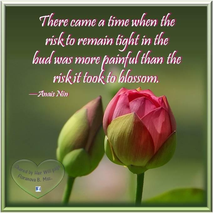 Quotes About Flower Buds. QuotesGram