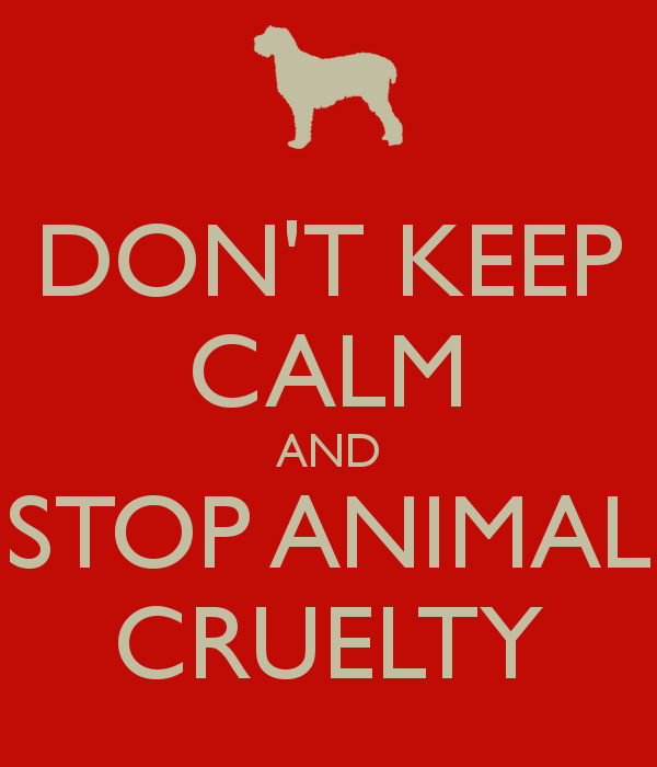 Stop Animal Cruelty Quotes. QuotesGram