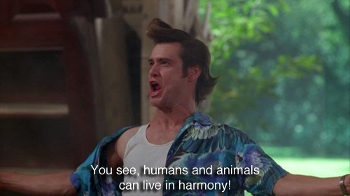 Ace Ventura 2 Quotes Ace Ventura 2 Quotes. Quotesgram