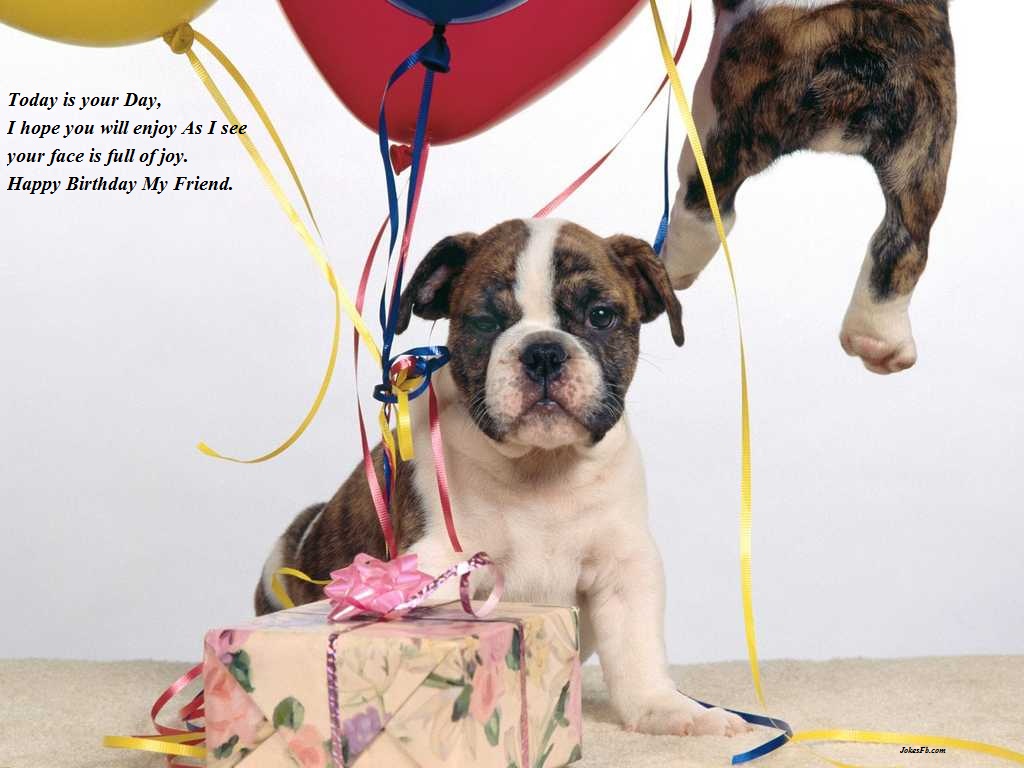 Dog Funny Birthday Quotes Quotesgram Dog Funny Birthday Quotes Quotesgram