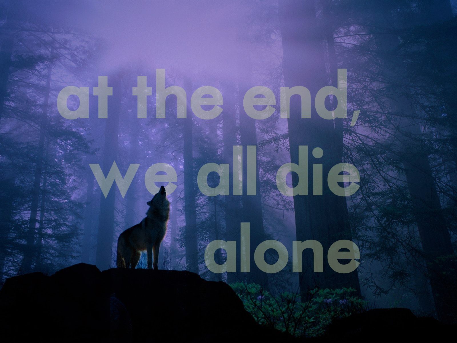 Howling Wolf Quotes. QuotesGram