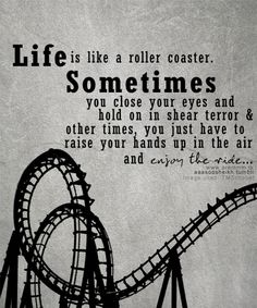 Roller Coaster Ride Quotes. Quotesgram