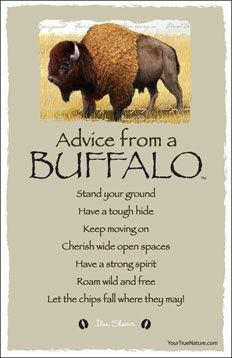 Quotes About Buffalo. QuotesGram