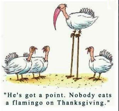 Turkey A Christmas Story Quotes. QuotesGram