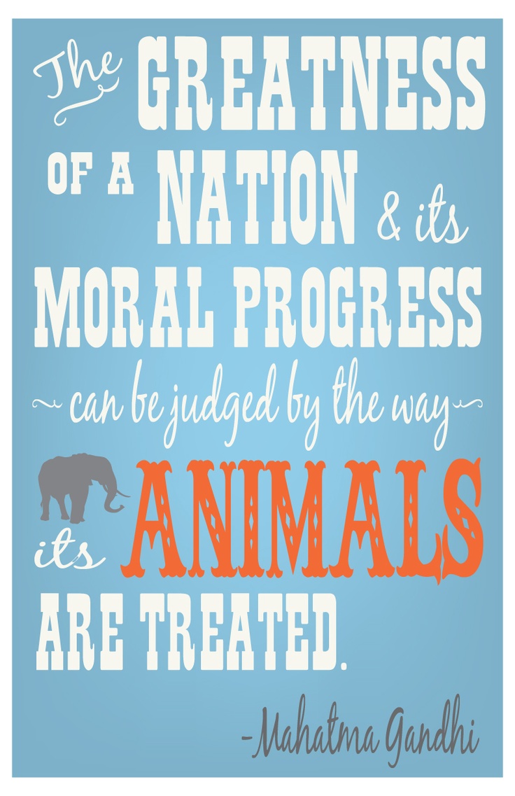 Animal Quotes By Gandhi. QuotesGram