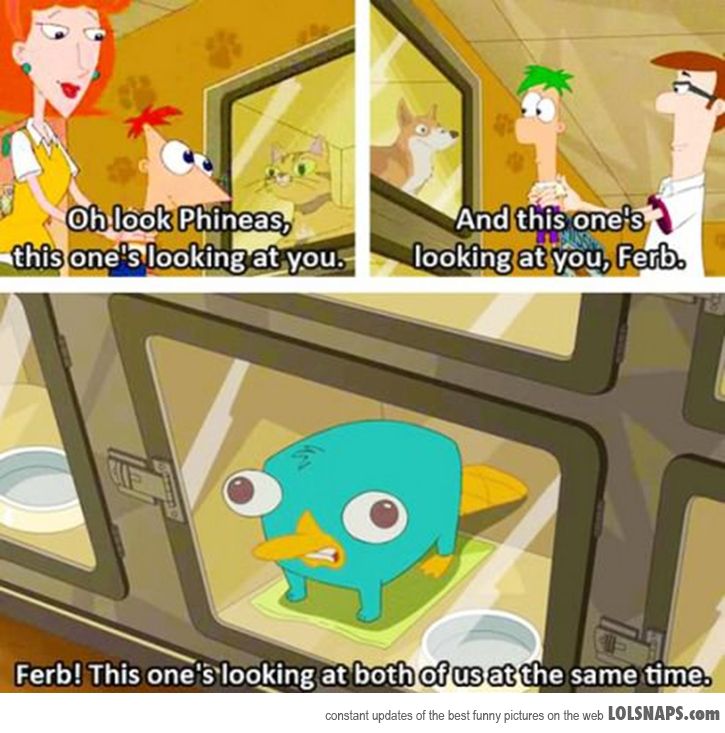 Summer Phineas And Ferb Quotes. QuotesGram