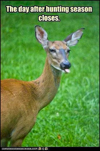 Funny Quotes About Deer Season. QuotesGram Funny Quotes About Deer Season. QuotesGram