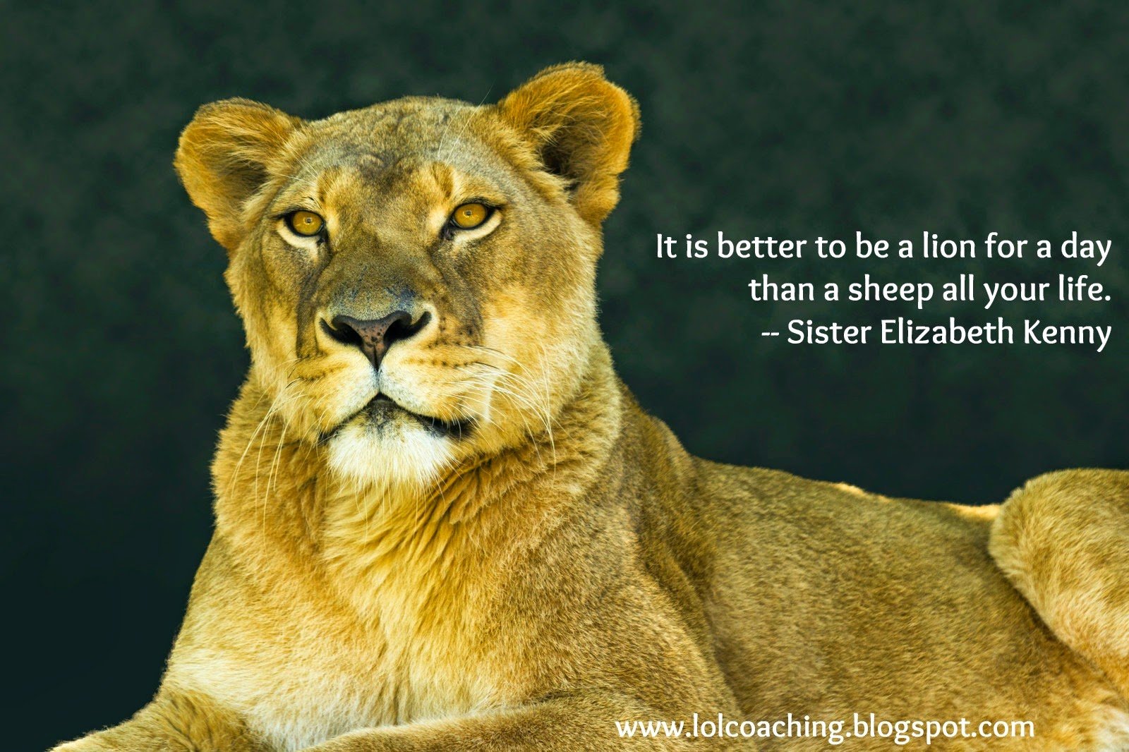 Inspirational Quotes Lion Lioness. QuotesGram