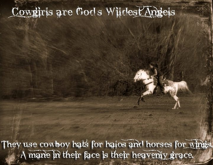 Cowgirl And Horse Quotes. QuotesGram