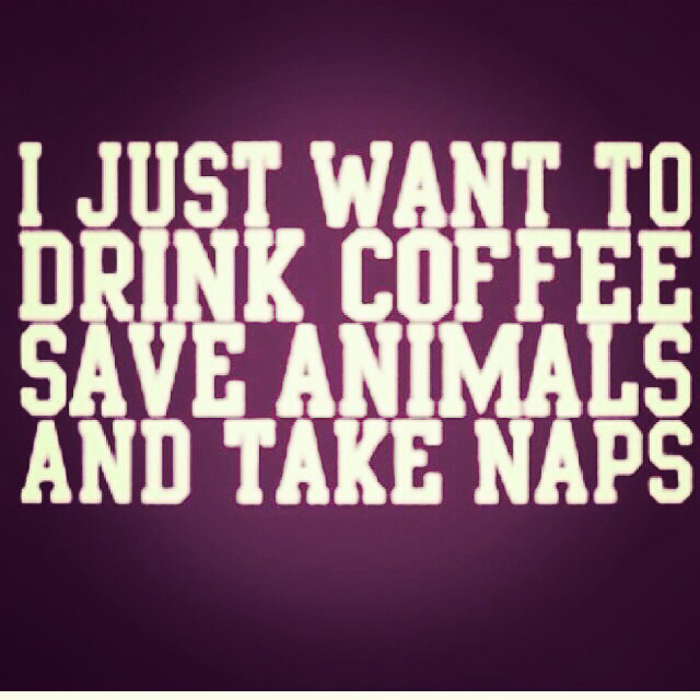 Veterinarian Quotes Inspirational. QuotesGram