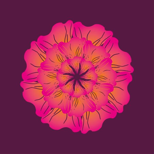 Hibiscus Flower Quotes. QuotesGram