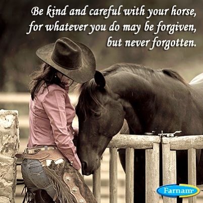 Barrel Horse Quotes. QuotesGram