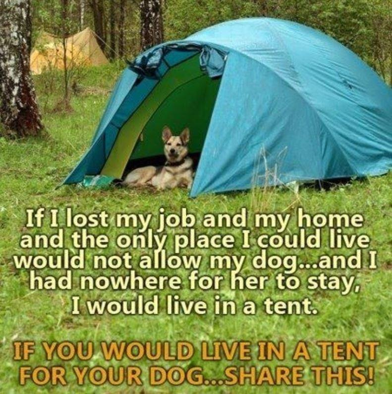 Lbj Quotes And Funny Tents. QuotesGram