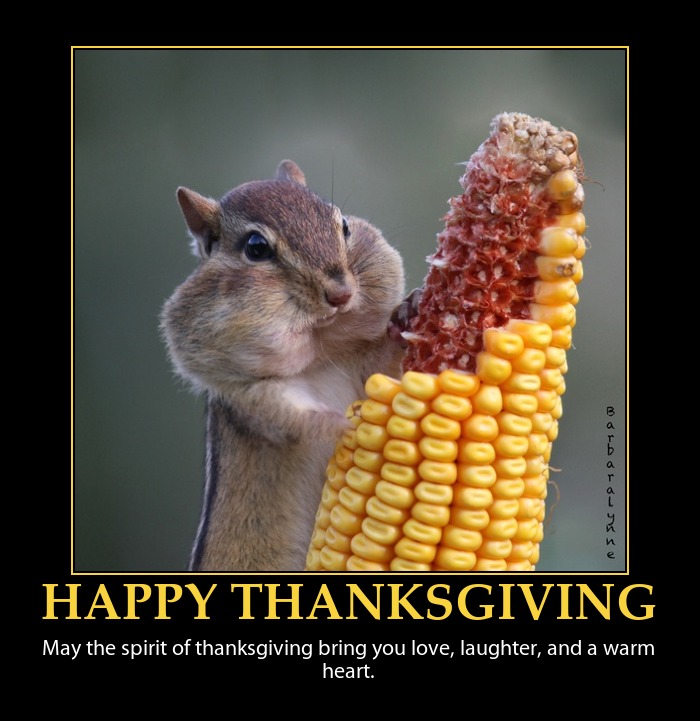 Where and when did the first thanksgiving take place