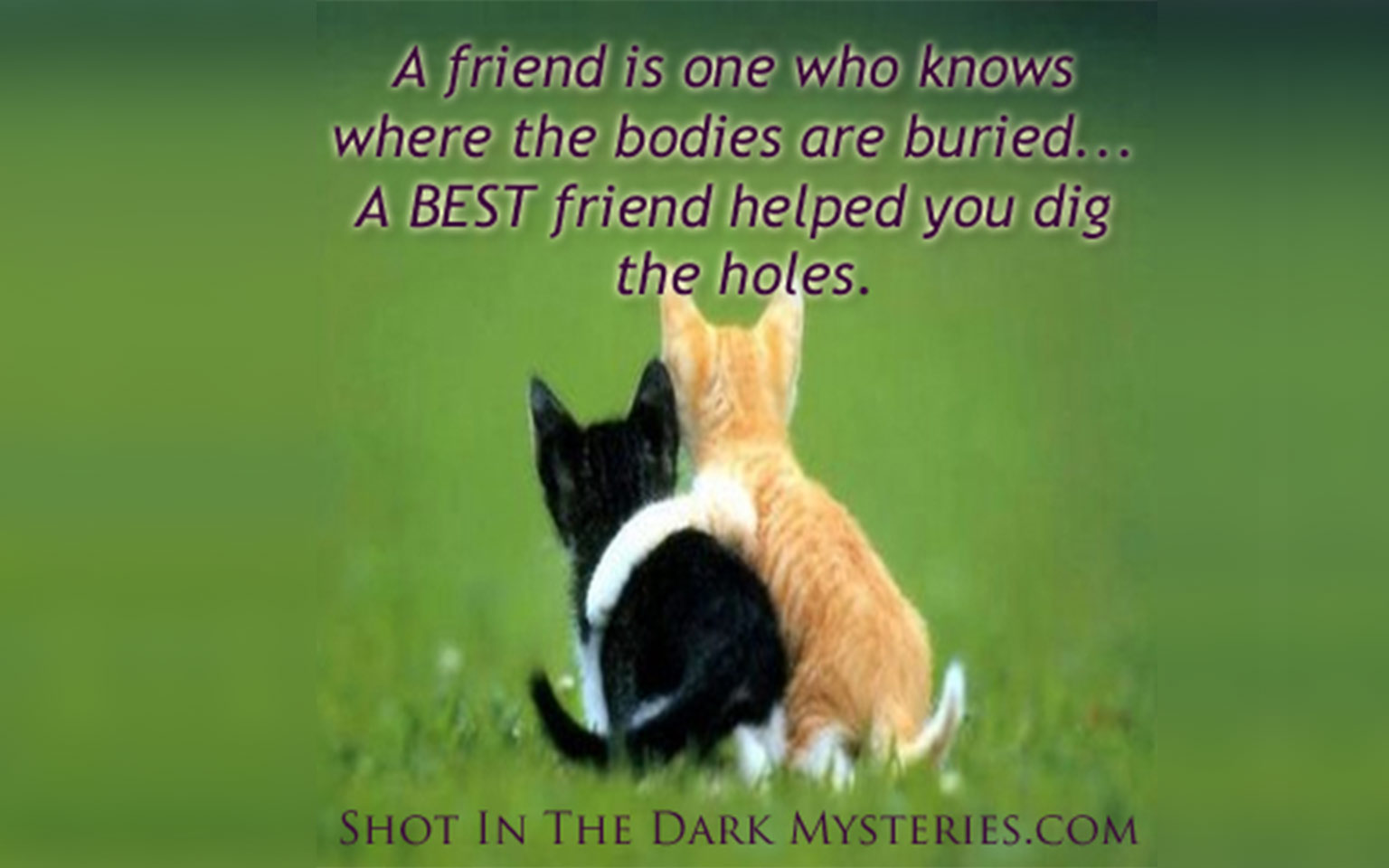 Friedns dig holes…