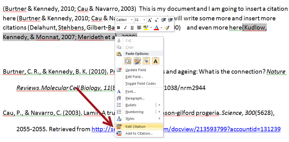 how to insert a citation in an essay
