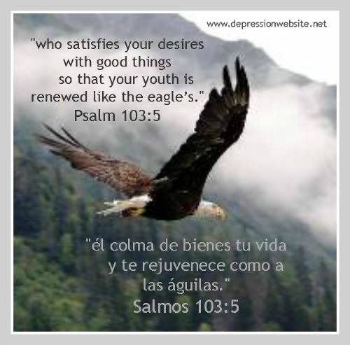 Bible Quotes For Depression Bible Quotes About Depression. Quotesgram