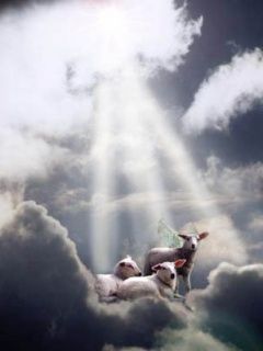 Angels Looking Down Quotes. QuotesGram