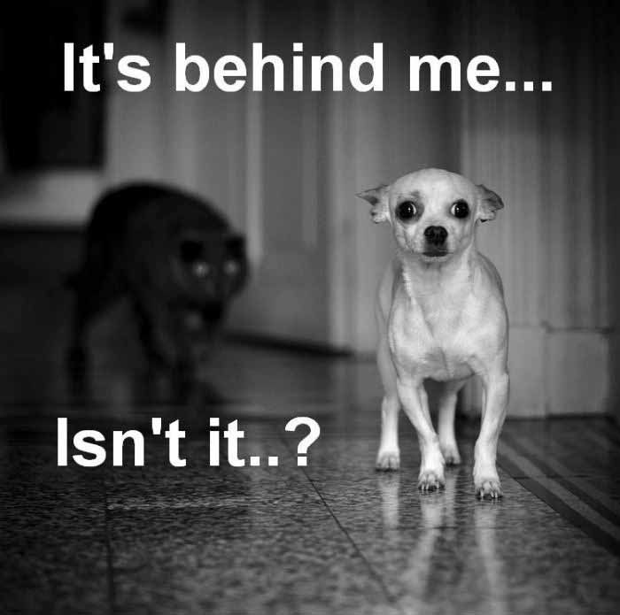 Spooky Funny Quotes QuotesGram spooky-funny-quotes-quotesgram