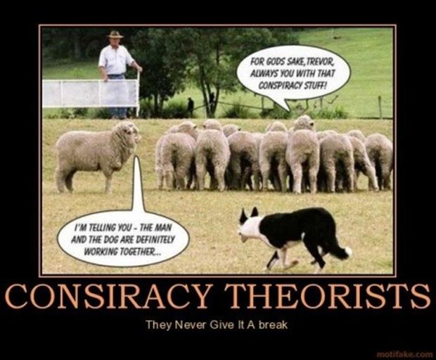 Funny Quotes About Sheep. QuotesGram Funny Quotes About Sheep. QuotesGram